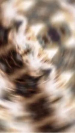 kaleidoscope