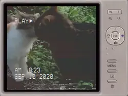 vhs cam