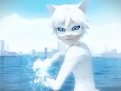 Chat blanc