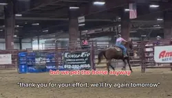 pet the horse anyway