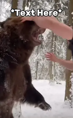 Bear meme 