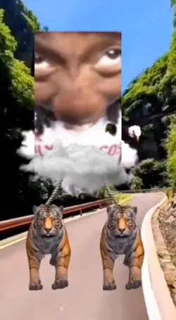 tiger