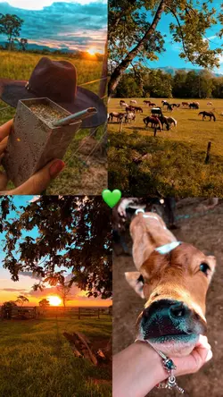 Fazenda 