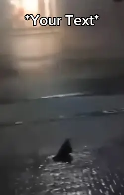 Storm Bird
