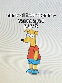 memes pt 3