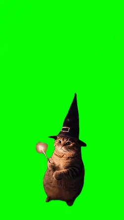 Halloween Gatuno 2