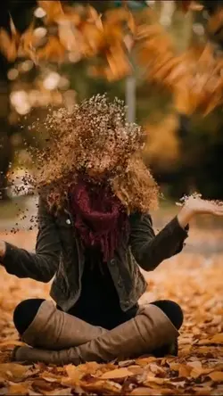 DissipateMotionTrend