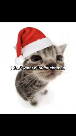 christmas !!