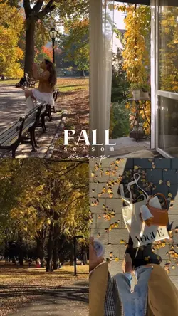 Fall season dump