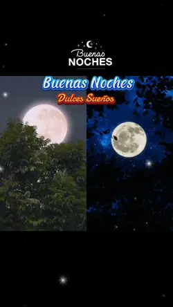 Buenas Noches