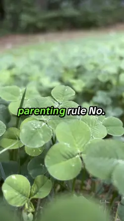 Parenting rule no.64