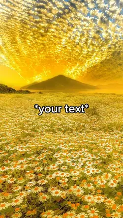 Stunning field 