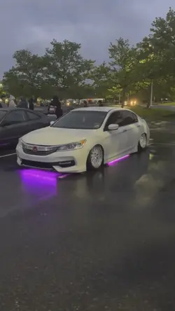 Honda accord on bags