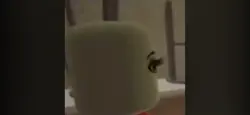 R u???