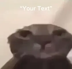 Sad Cat 