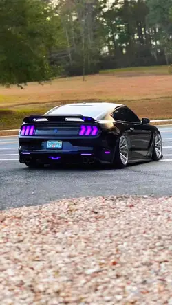 🩷