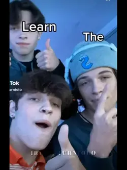 STURNIOLOOSSSS
