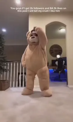 Dancing bear