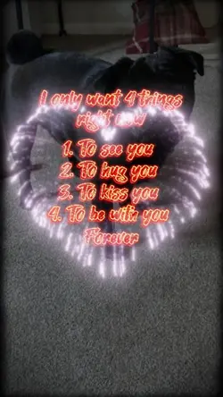 My Checklist