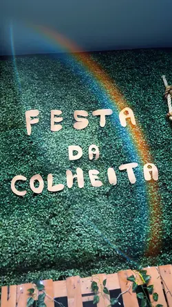 Festa colheita 
