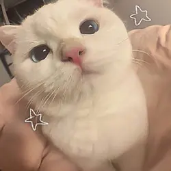 star transition!