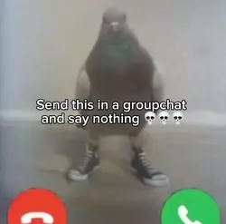 Pigeon call