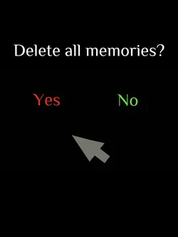 Delete all memories 