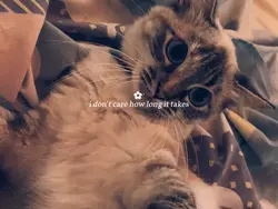 my baby ✿