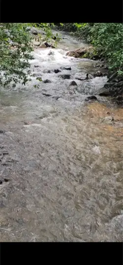 Naturaleza 