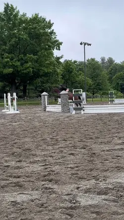 Ponytai