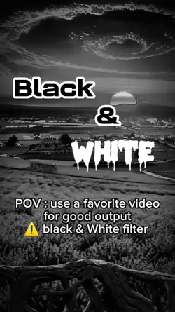Black & White 