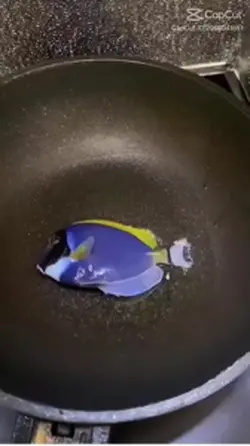 Frying dory