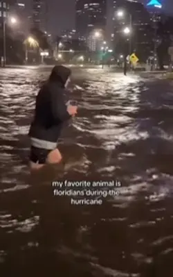 hurricane katrina