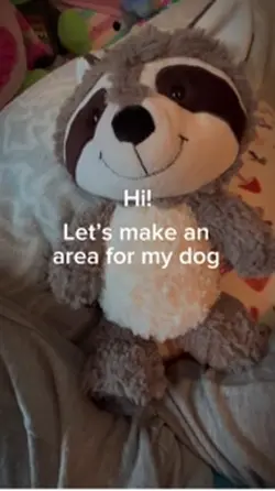 🐌 | Making dog area!