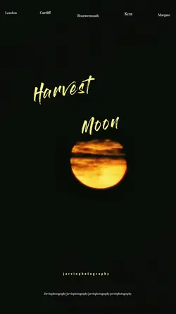 Moonlight Harvest