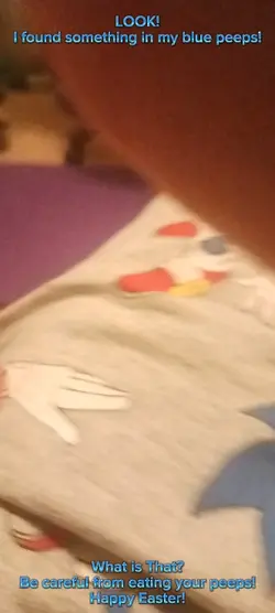 What is that?