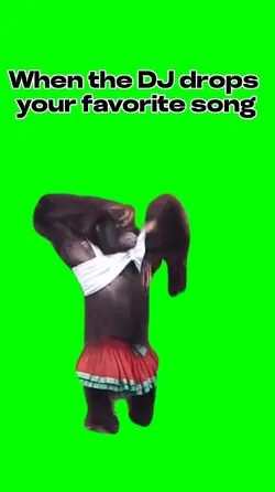 Orangutan Twerk