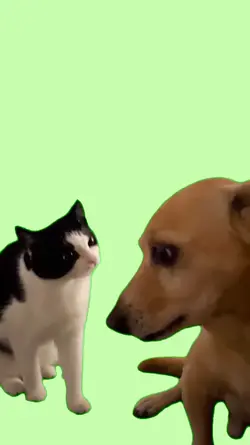 Tela verde