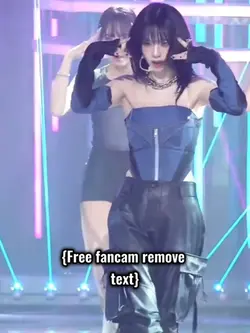 Free fancam