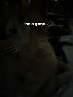 Hes gone..