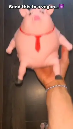 Pig Abuse