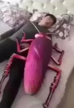Big cockroach. 💀