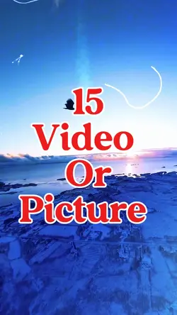 15 video or picture 