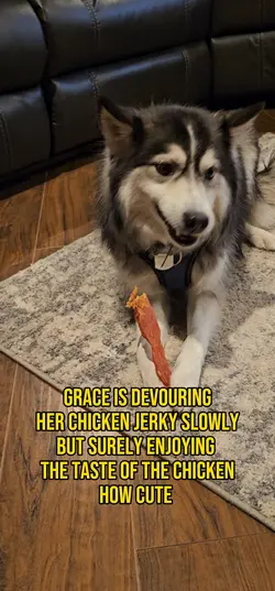 Grace loves #jerky