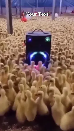 Duck Party 