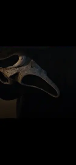 GHOST FACE EDIR