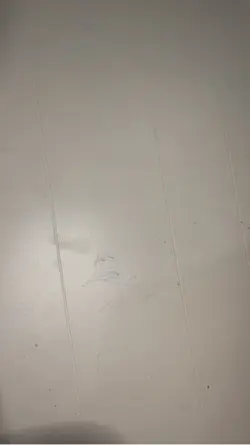 Magic eraser 
