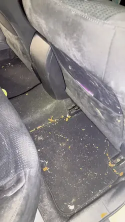  Dirty carpets