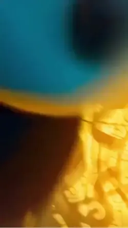 Kung fu panda