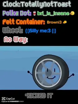 FELT CONTAINER 